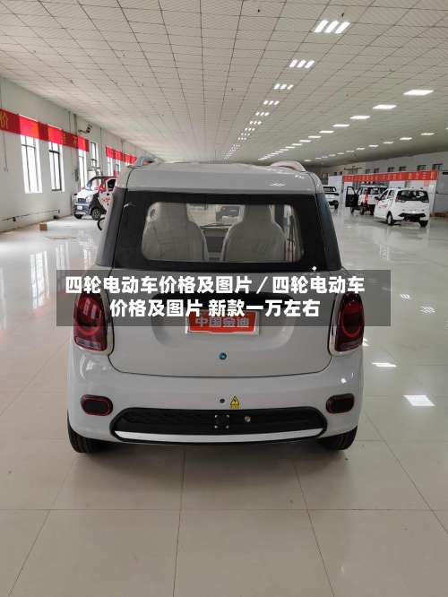 四轮电动车价格及图片／四轮电动车价格及图片 新款一万左右-第1张图片