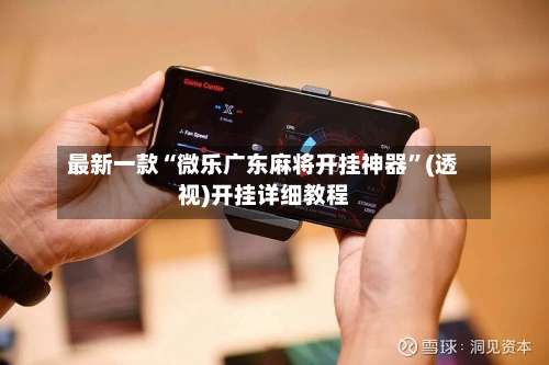 最新一款“微乐广东麻将开挂神器”(透视)开挂详细教程-第2张图片