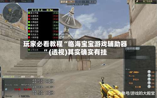 玩家必看教程“临海宝宝游戏辅助器	”(透视)其实确实有挂-第2张图片