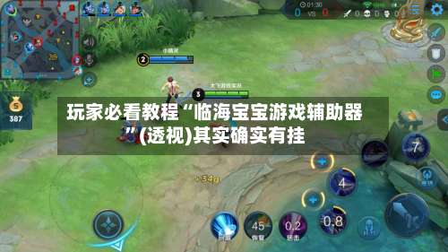 玩家必看教程“临海宝宝游戏辅助器”(透视)其实确实有挂-第3张图片
