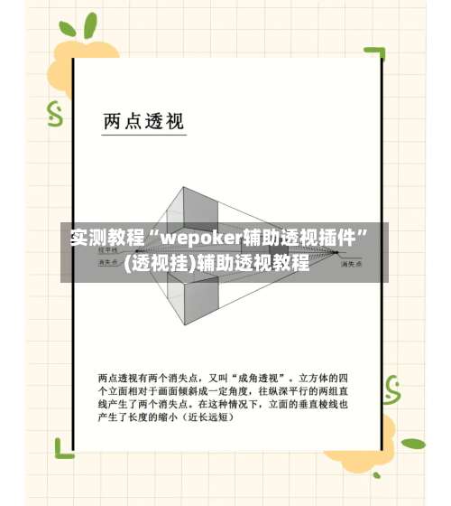 实测教程“wepoker辅助透视插件	”(透视挂)辅助透视教程-第1张图片