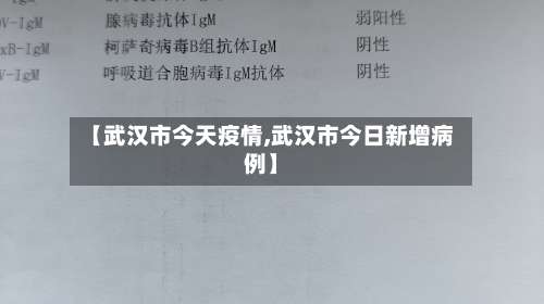 【武汉市今天疫情,武汉市今日新增病例】-第2张图片