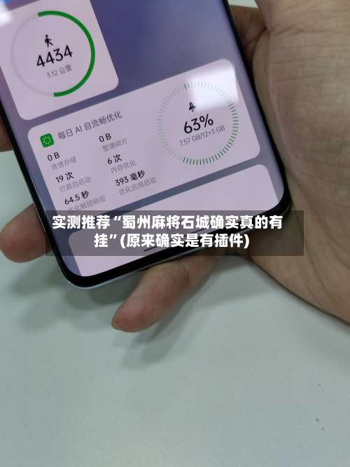 实测推荐“蜀州麻将石城确实真的有挂”(原来确实是有插件)-第1张图片