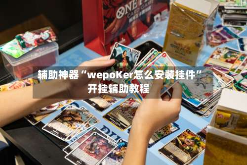 辅助神器“wepoKer怎么安装挂件”开挂辅助教程-第1张图片