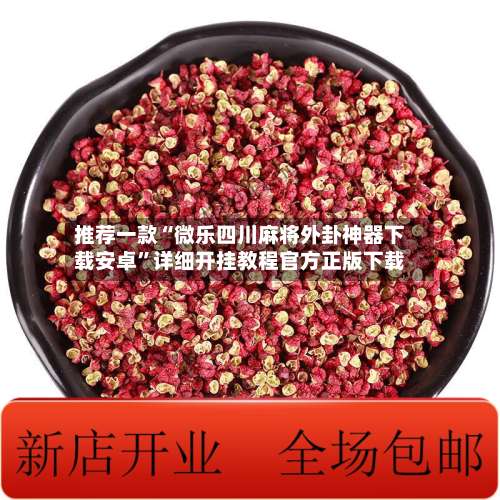 推荐一款“微乐四川麻将外卦神器下载安卓”详细开挂教程官方正版下载-第2张图片