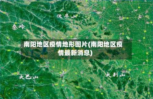 南阳地区疫情地形图片(南阳地区疫情最新消息)-第2张图片