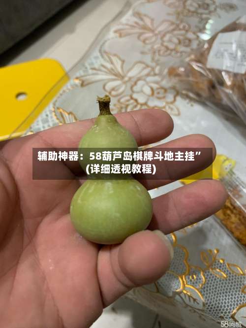 辅助神器：58葫芦岛棋牌斗地主挂	”(详细透视教程)-第1张图片