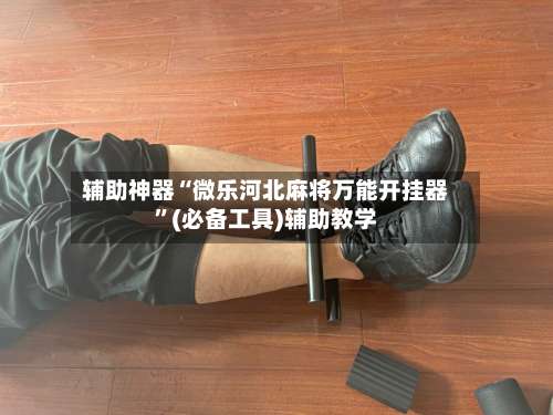 辅助神器“微乐河北麻将万能开挂器	”(必备工具)辅助教学-第1张图片