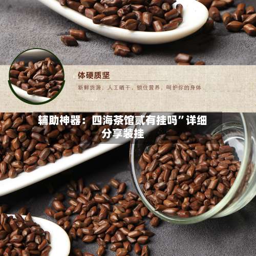 辅助神器：四海茶馆贰有挂吗”详细分享装挂-第2张图片