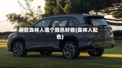 新款森林人哪个颜色好看(森林人配色)-第1张图片