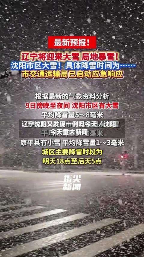 辽宁沈阳又发现一例吗今天／沈阳今天重大新闻-第3张图片