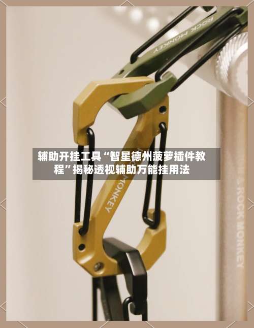 辅助开挂工具“智星德州菠萝插件教程”揭秘透视辅助万能挂用法-第2张图片