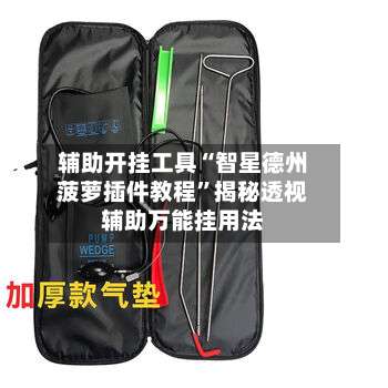 辅助开挂工具“智星德州菠萝插件教程”揭秘透视辅助万能挂用法-第3张图片