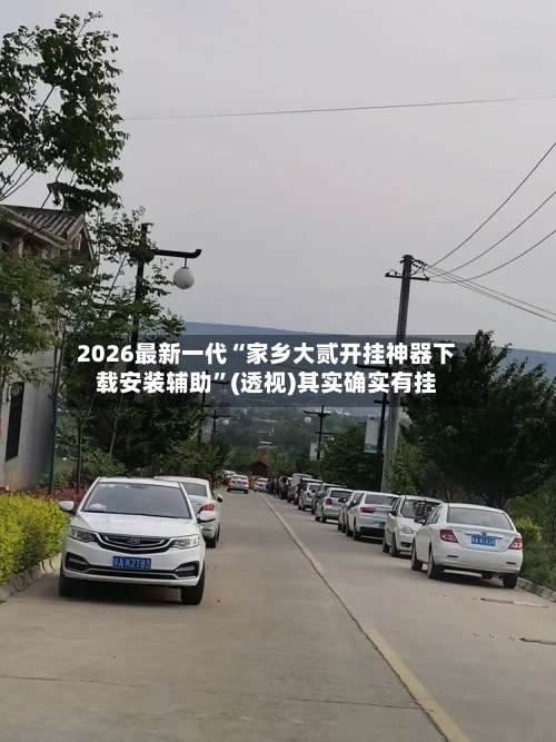 2026最新一代“家乡大贰开挂神器下载安装辅助”(透视)其实确实有挂-第3张图片