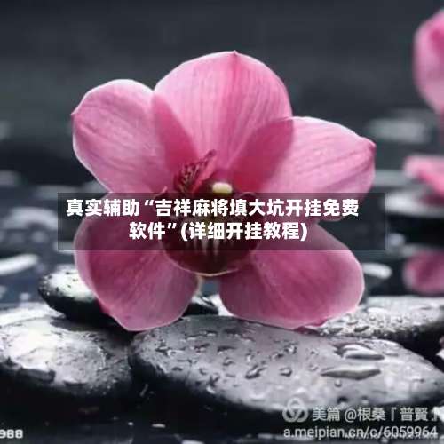 真实辅助“吉祥麻将填大坑开挂免费软件	”(详细开挂教程)-第1张图片