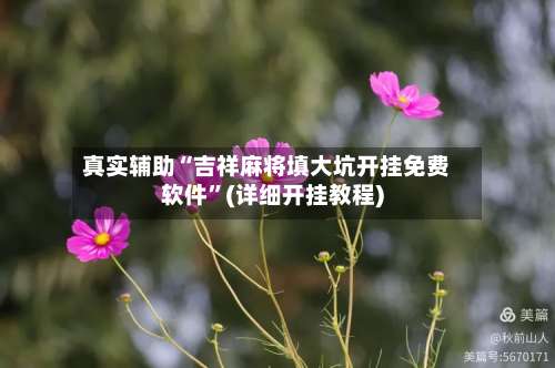 真实辅助“吉祥麻将填大坑开挂免费软件”(详细开挂教程)-第3张图片