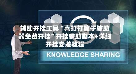 辅助开挂工具“喜扣打筒子辅助器免费开挂”开挂辅助脚本+详细开挂安装教程-第2张图片
