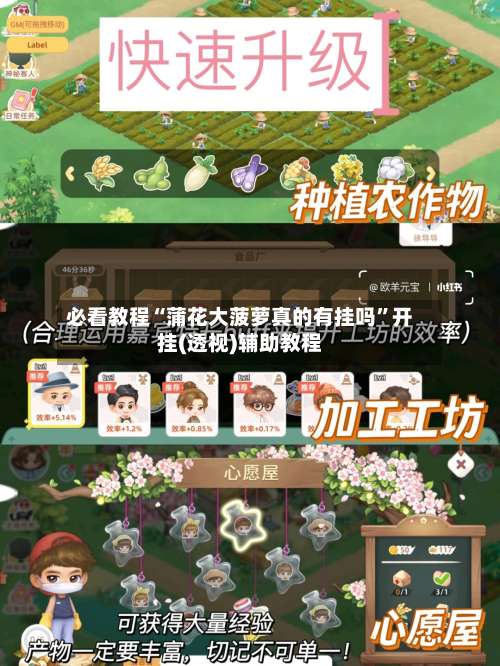 必看教程“蒲花大菠萝真的有挂吗	”开挂(透视)辅助教程-第1张图片