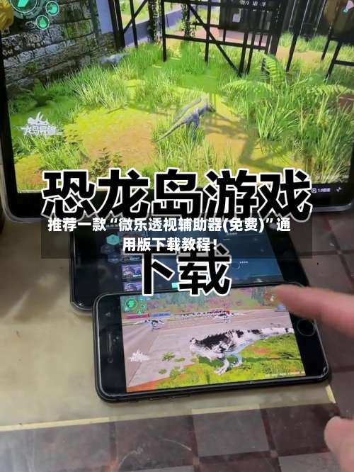 推荐一款“微乐透视辅助器(免费)”通用版下载教程！-第3张图片