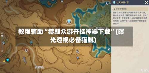 教程辅助“赫麒众游开挂神器下载”(曝光透视必备猫腻)-第2张图片