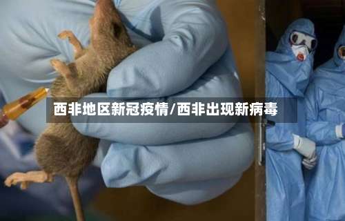 西非地区新冠疫情/西非出现新病毒-第1张图片