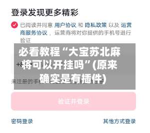 必看教程“大宝苏北麻将可以开挂吗”(原来确实是有插件)-第2张图片