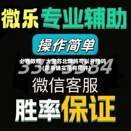必看教程“大宝苏北麻将可以开挂吗	”(原来确实是有插件)-第1张图片