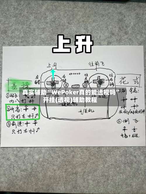 真实辅助“WePoker真的能透视吗”开挂(透视)辅助教程-第1张图片
