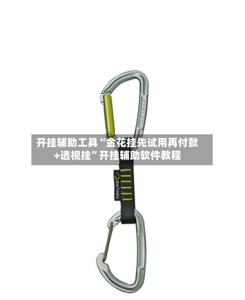 开挂辅助工具“金花挂先试用再付款+透视挂”开挂辅助软件教程-第1张图片