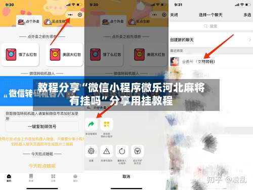 教程分享“微信小程序微乐河北麻将有挂吗”分享用挂教程-第3张图片