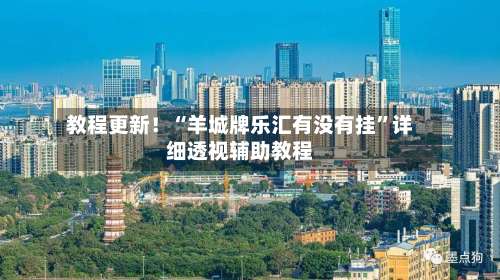 教程更新！“羊城牌乐汇有没有挂”详细透视辅助教程-第2张图片