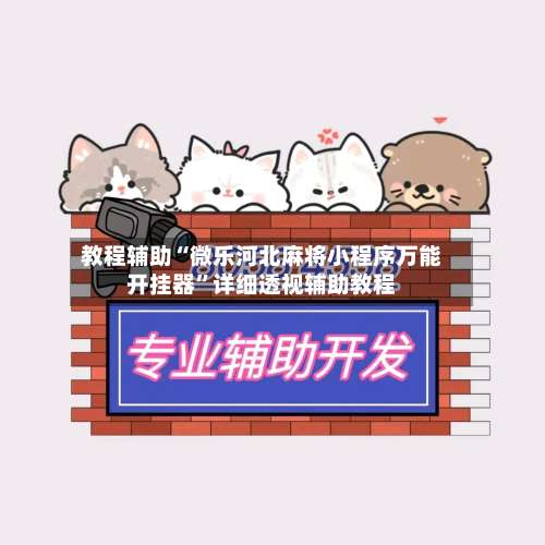 教程辅助“微乐河北麻将小程序万能开挂器	”详细透视辅助教程-第1张图片