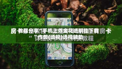 教程分享“手机上炸金花透明挂下载”作弊(透视)透视辅助-第1张图片