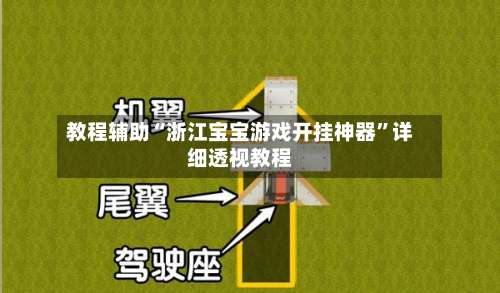 教程辅助“浙江宝宝游戏开挂神器”详细透视教程-第3张图片