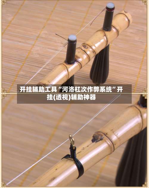 开挂辅助工具“河洛杠次作弊系统”开挂(透视)辅助神器-第1张图片