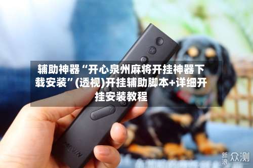 辅助神器“开心泉州麻将开挂神器下载安装	”(透视)开挂辅助脚本+详细开挂安装教程-第3张图片