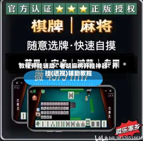 教程开挂辅助“老胡麻将开挂神器”开挂(透视)辅助教程-第3张图片