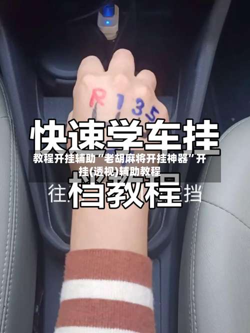 教程开挂辅助“老胡麻将开挂神器	”开挂(透视)辅助教程-第1张图片