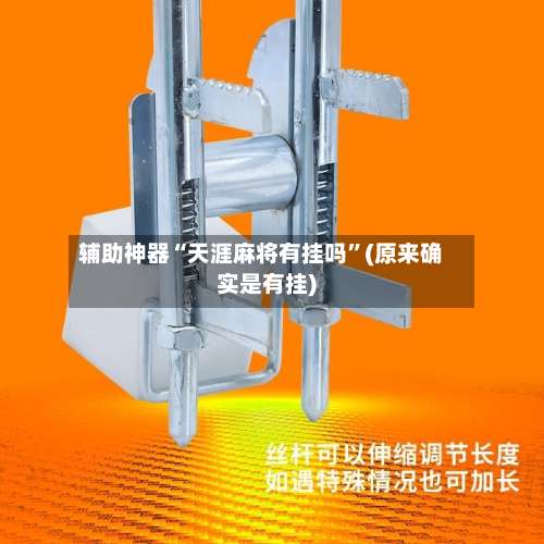 辅助神器“天涯麻将有挂吗”(原来确实是有挂)-第3张图片