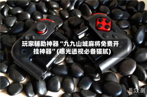 玩家辅助神器“九九山城麻将免费开挂神器”(曝光透视必备猫腻)-第1张图片