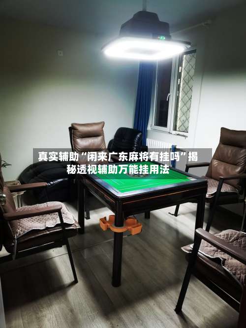 真实辅助“闲来广东麻将有挂吗”揭秘透视辅助万能挂用法-第1张图片