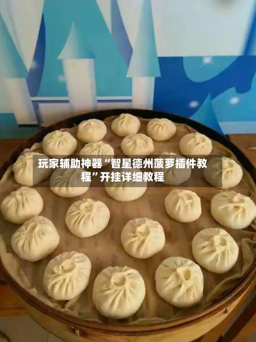 玩家辅助神器“智星德州菠萝插件教程”开挂详细教程-第1张图片