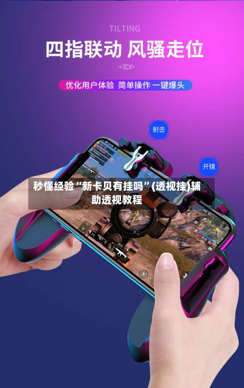 秒懂经验“新卡贝有挂吗”(透视挂)辅助透视教程-第3张图片