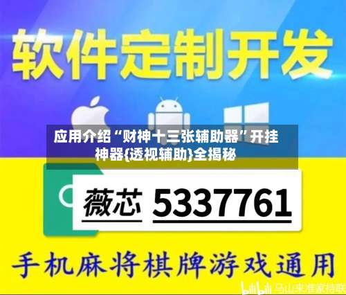 应用介绍“财神十三张辅助器”开挂神器{透视辅助}全揭秘-第2张图片