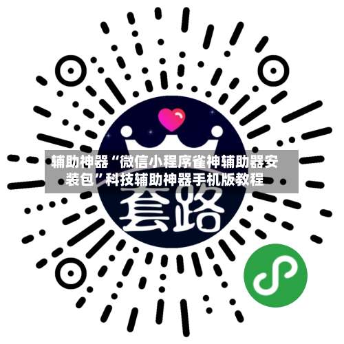 辅助神器“微信小程序雀神辅助器安装包”科技辅助神器手机版教程-第3张图片