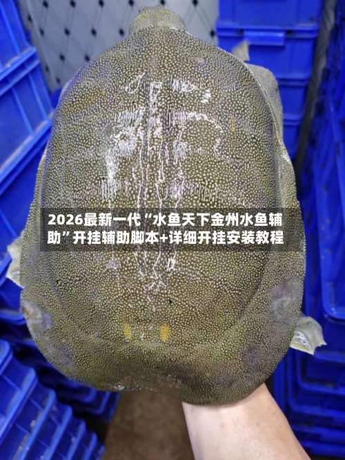 2026最新一代“水鱼天下金州水鱼辅助”开挂辅助脚本+详细开挂安装教程-第1张图片