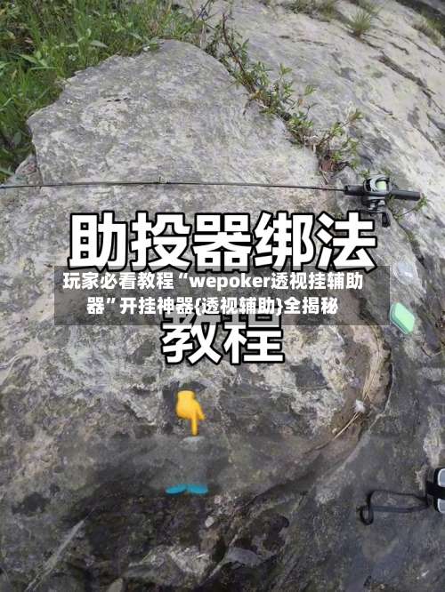 玩家必看教程“wepoker透视挂辅助器”开挂神器{透视辅助}全揭秘-第3张图片