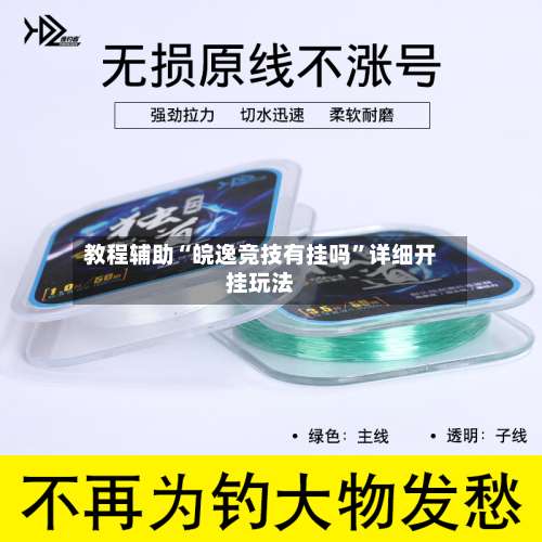 教程辅助“皖逸竞技有挂吗”详细开挂玩法-第1张图片