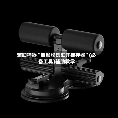 辅助神器“蜀渝牌乐汇开挂神器	”(必备工具)辅助教学-第1张图片