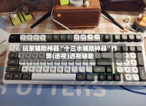 玩家辅助神器“十三水辅助神器	”作弊(透视)透视辅助-第2张图片